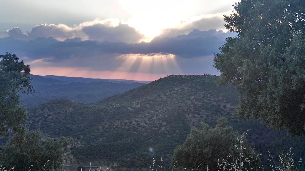 Casa Rural El Trillo Affittacamere El Alcornocal Esterno foto